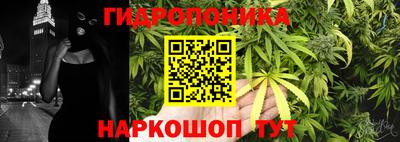 СК Конаково